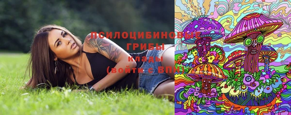 бутират Горнозаводск