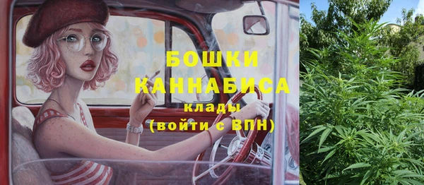 гидропоника Горняк