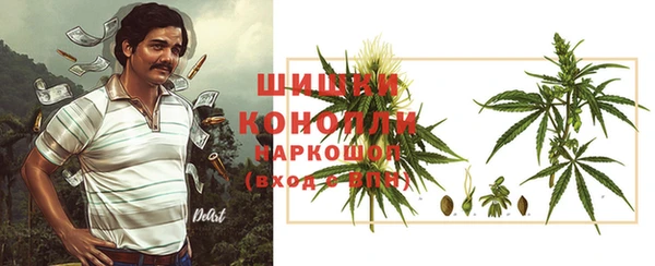 гидра Горно-Алтайск