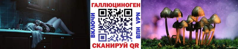 Купить  Питкяранта  Псилоцибиновые грибы Psilocybine cubensis 